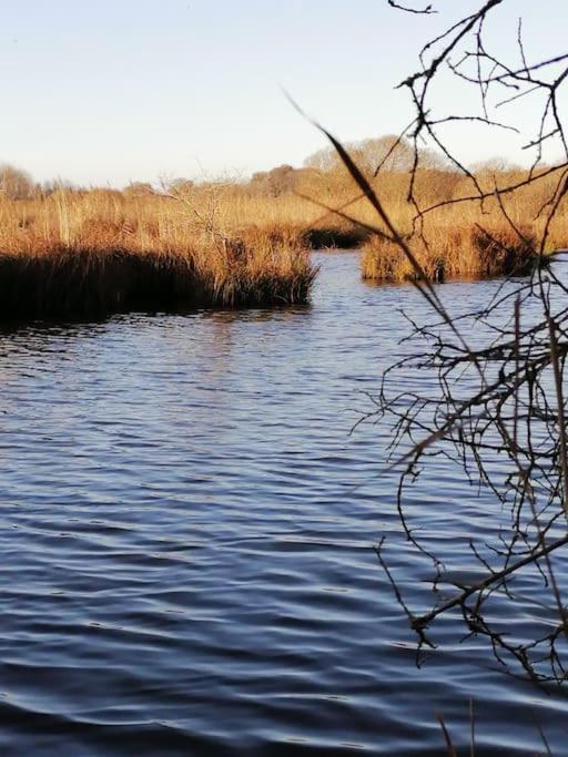 Gite A Saint Andre Des Eaux Kültér fotó